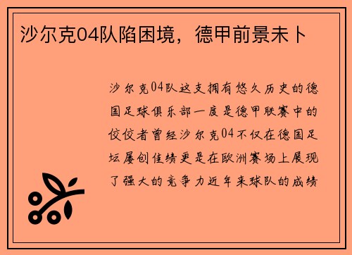 沙尔克04队陷困境，德甲前景未卜