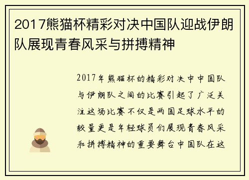 2017熊猫杯精彩对决中国队迎战伊朗队展现青春风采与拼搏精神